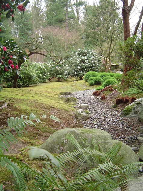 Seattle Japanese Garden 2 Free Photo Download | FreeImages