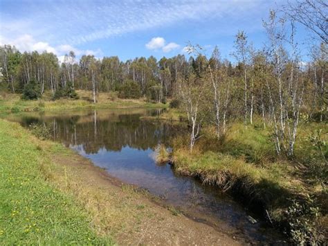 Vlasina Lake (Surdulica) - 2020 All You Need to Know BEFORE You Go ...