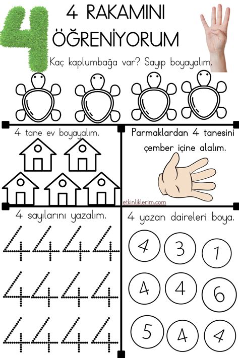 4 Rakamı Çalışma Sayfası Etkinliklerim