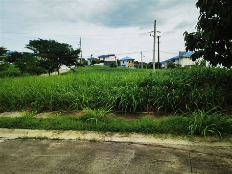 176 SQM Lot For Sale In Avida Parkway Settings Nuvali Calamba Laguna