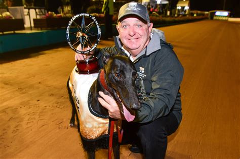 Gca Run Of The Month February Stanley Road Greyhound Clubs Australia