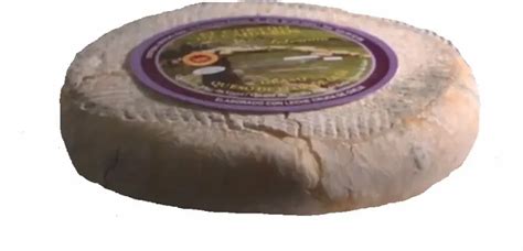 Comprar Queso Flor De Tutorial Una Experiencia única Para Amantes Del