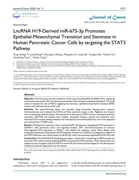 PDF LncRNA H19 Derived MiR 675 3p Promotes Epithelial Mesenchymal