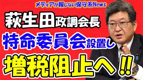 【萩生田政調会長】特命委員会を設置し防衛増税阻止へ動く！！岸田首相が防衛増税強行で政局の可能性あり！！防衛増税の真の目的は「消費税率15」の