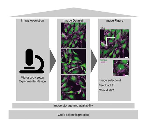 Image And Image Analysis Publication Checklists 2024 Wiley