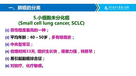 Ppt Lung Cancer Pptx P