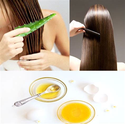 Best Diy Hair Mask For Oily Hair At Perry Bowman Blog