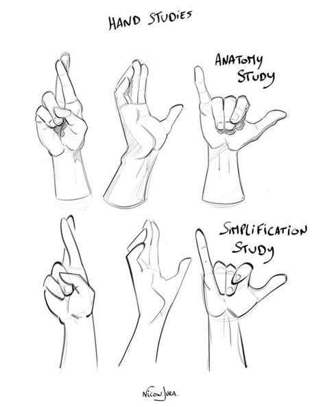 hand studies showing the different gestures