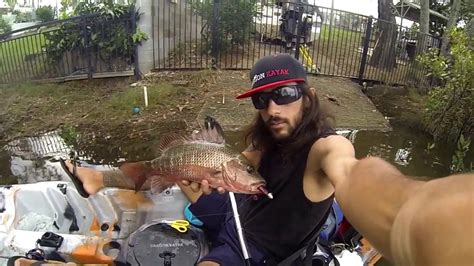 Mangrove Jack Fishing With Zman Diezel Minnowz Gold Coast Youtube