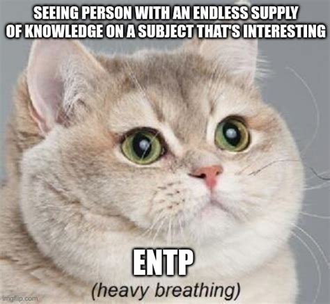 ENTP Attraction Imgflip