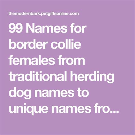 Collie Dog Names - inbabu