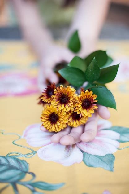 Premium Photo Cropped Image Of Hand Holding Flowers