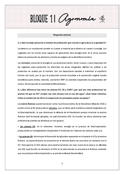 Primer Parcial Preguntas De Desarrollo Pdf