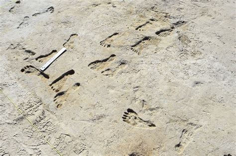 Footprints Suggest Humans Migrated Deep Into North America Earlier Than