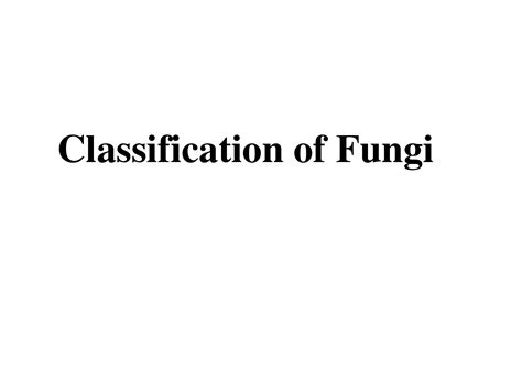 SOLUTION Classification Of Fungus Studypool