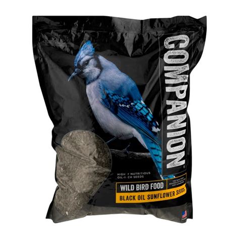 Save On Companion Black Oil Sunflower Seeds Wild Bird Food Order Online Delivery Giant