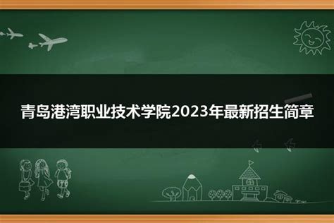 青岛港湾职业技术学院2024年最新招生简章山东职校招生网