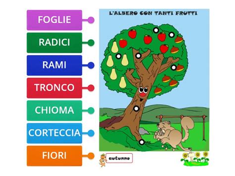 Le Parti Dell Albero Labelled Diagram