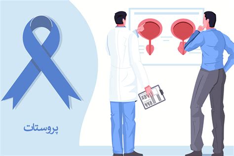 پروستات چیست؟ انواع بیماری‌های پروستات و درمان‌های آن آسان تست
