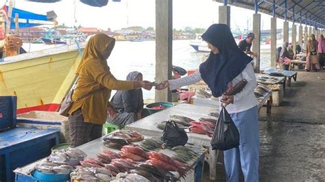 Harga Ikan Kempung Di TPI Lappa Sinjai Tembus Rp300 Ribu Per Keranjang