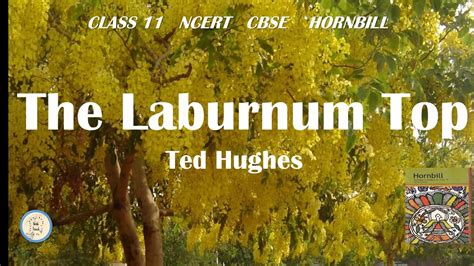 The Laburnum Top Ted Hughes Class Hornbill Ncert Cbse In