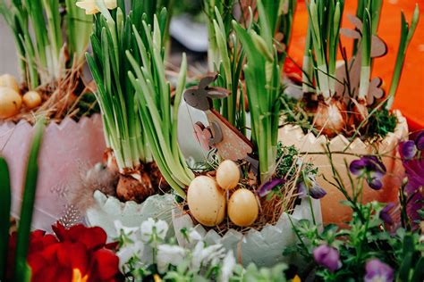 Last Minute Einkauf F R Osterhasen Onkel Toms Ladenstra E Berlin