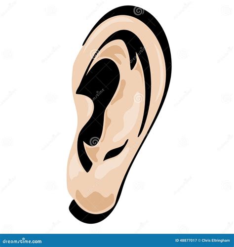 Ear Vector Cartoon Shaded Stock Vector - Image: 48877017