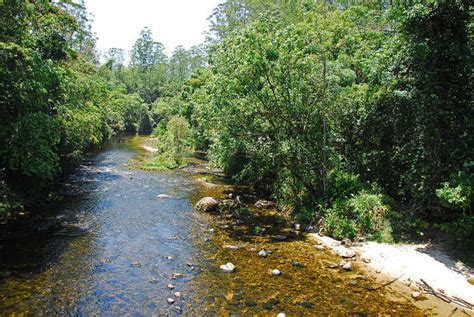 Parque das Neblinas tem nova trilha opção de camping