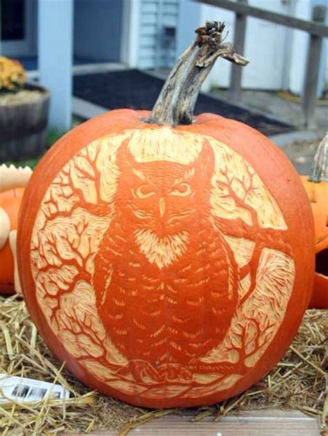 My Owl Barn: Happy Halloween! + 5 Creative Owl Pumpkins