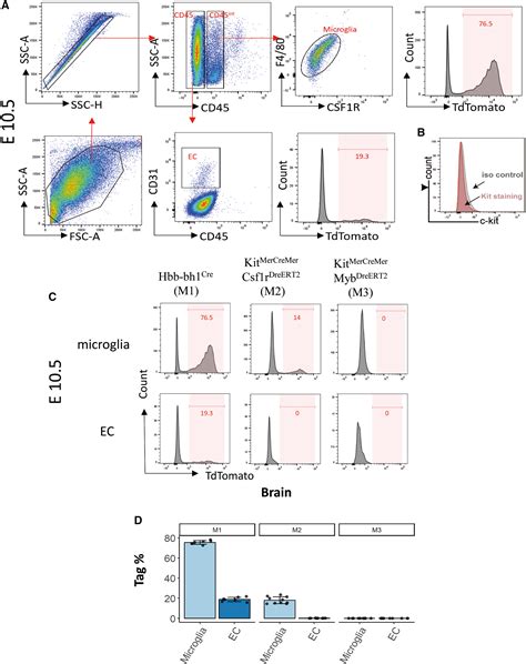 Single Cell Rna Sequencing Guided Fate Mapping Toolkit Delineates The