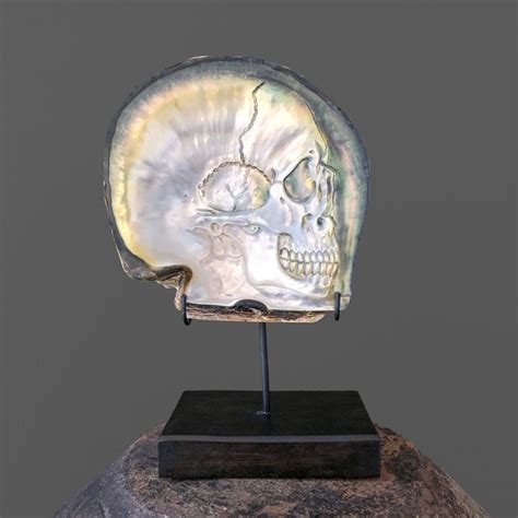 Beautiful Hand Carved Mother Of Pearl Shell Human Skull Catawiki