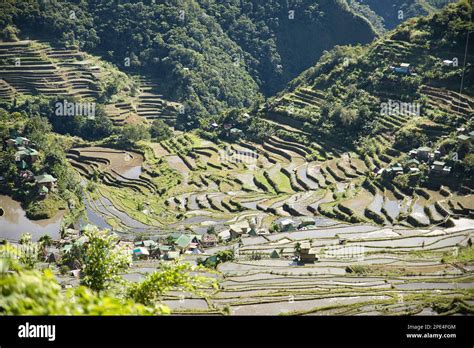 Panorama View Over The Rice Terraces Of Banaue In The Philippines
