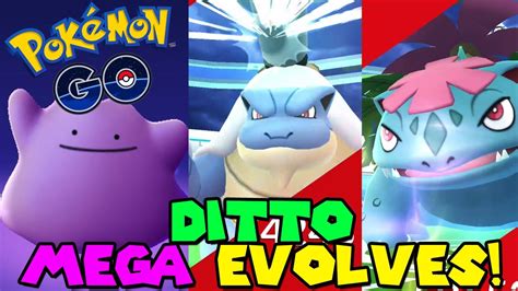 Ditto Mega Evolves Into Mega Blastoise And Mega Venusaur In Pokemon Go