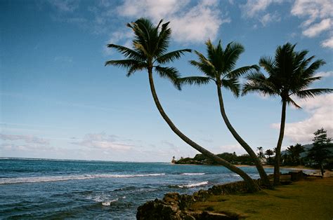 Hau'ula Beach Park - Active Oahu