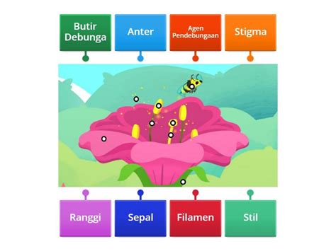 Sistem Pembiakan Tumbuhan Diagrama Con Etiquetas