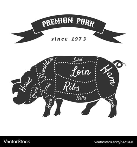 Cuts of pork or butcher scheme pig Royalty Free Vector Image