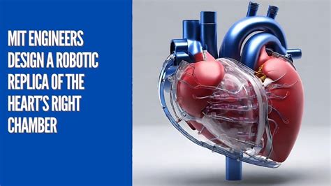 Mit Engineers Design A Robotic Replica Of The Hearts Right Chamber