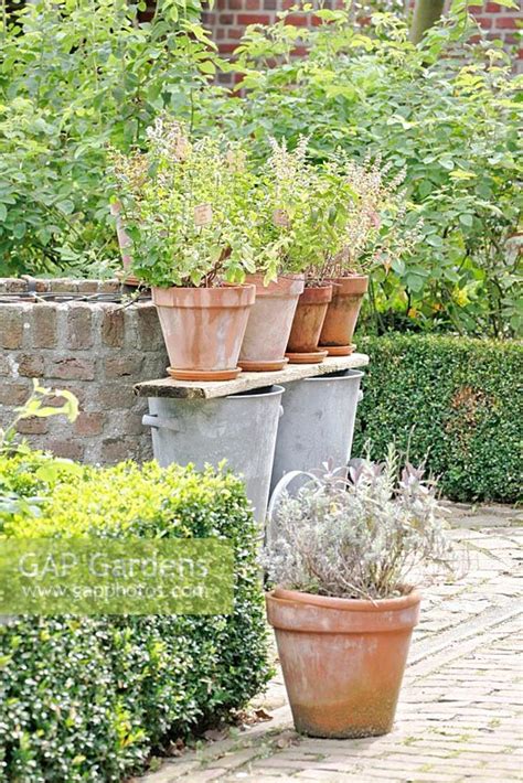 Herbs In Pots Includ Stock Photo By Hanneke Reijbroek Image