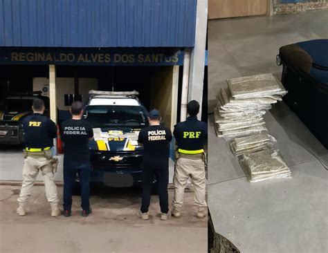 Pf Ro Realiza Prisão Em Flagrante Por Transporte De Drogas Em ônibus