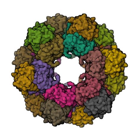 Rcsb Pdb 8u7j Crystal Structure Of Staphylococcus Aureus Plp