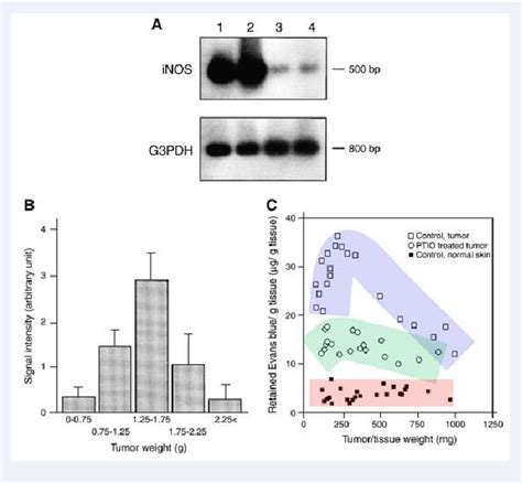 Figure 1 From Enhanced Permeability And Retention Epr Effect Based