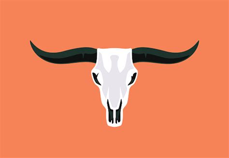 Bull Skull Stock Illustration Download Image Now Bull Animal