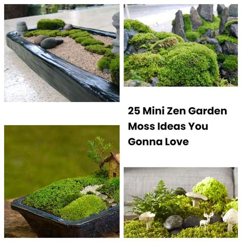 25 Mini Zen Garden Moss Ideas You Gonna Love | SharonSable