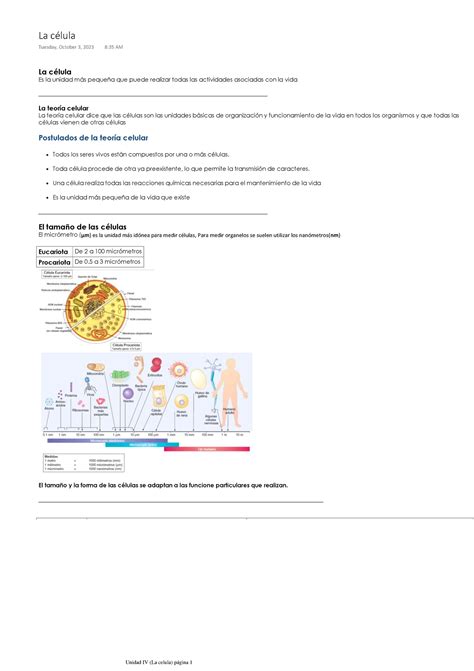 Unidad Iv La Celula Organelos De La C Lula Estructura Y Funci N
