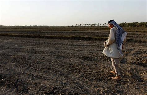 أمام العراق مشوار طويل لتحقيق الاكتفاء الذاتي زراعيًا • نون بوست