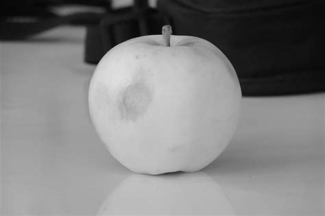 Apple Fruit Pommes Photo Gratuite Sur Pixabay Pixabay