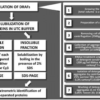 Schematic representation of PSIA. Left panel illustrates the main ...