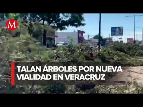 Talan árboles en Xalapa Veracruz para paso superior vehicular YouTube