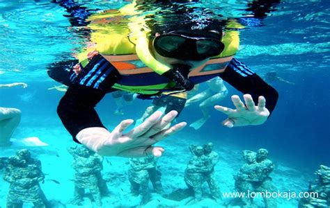 Snorkling Gili Trawangan Tour Harian Lombok Lombok Aja Travel