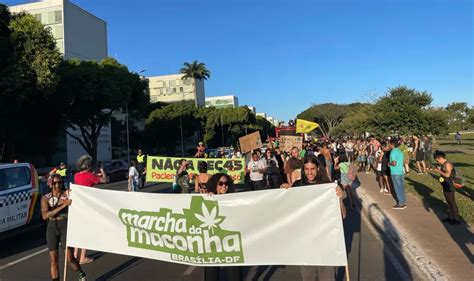 Marcha Da Maconha No Df Reivindica Fim Da Guerra às Direitos Humanos